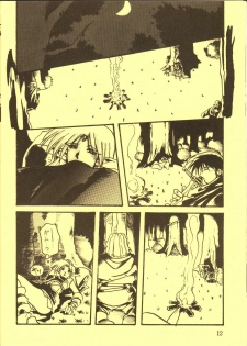 [Waku Waku Doubutsuen, Neko Apron (Various)] DIEDLIT 2 (Record of Lodoss War) - page 11