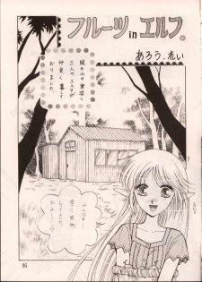 [Waku Waku Doubutsuen, Neko Apron (Various)] DIEDLIT 2 (Record of Lodoss War) - page 34