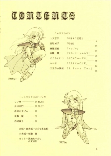 [Waku Waku Doubutsuen, Neko Apron (Various)] DIEDLIT 2 (Record of Lodoss War) - page 3