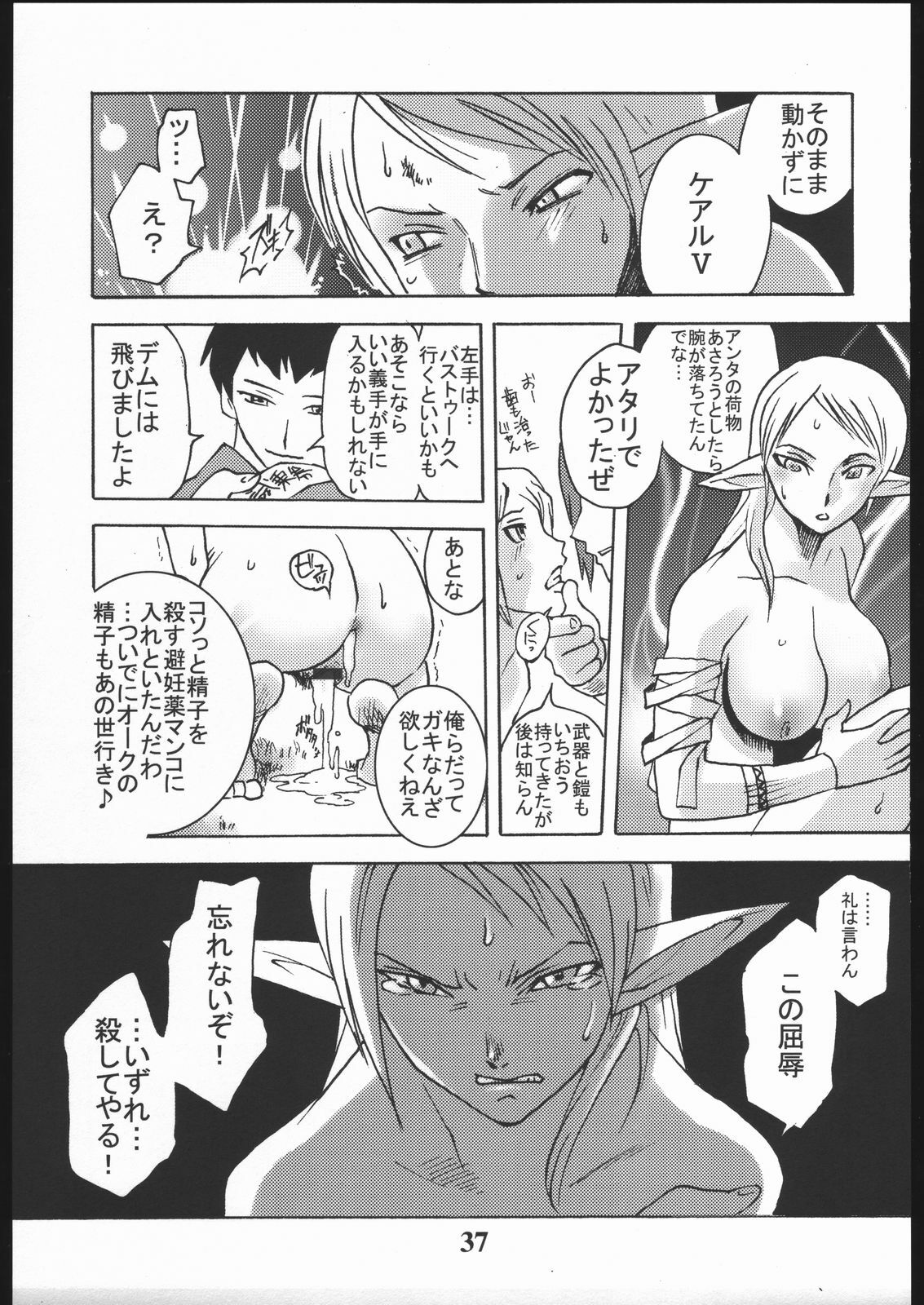 [Circle Daneko (Mr.pavlov)] GEDOH XI (Final Fantasy XI) page 36 full