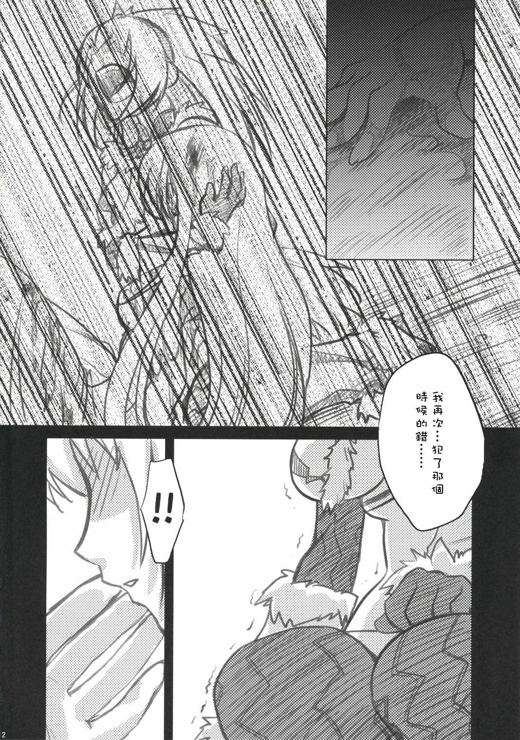 (C73) [Princess Heart (Amagai Yukino)] Kariudo Hakusho (Monster Hunter) [Chinese] page 11 full