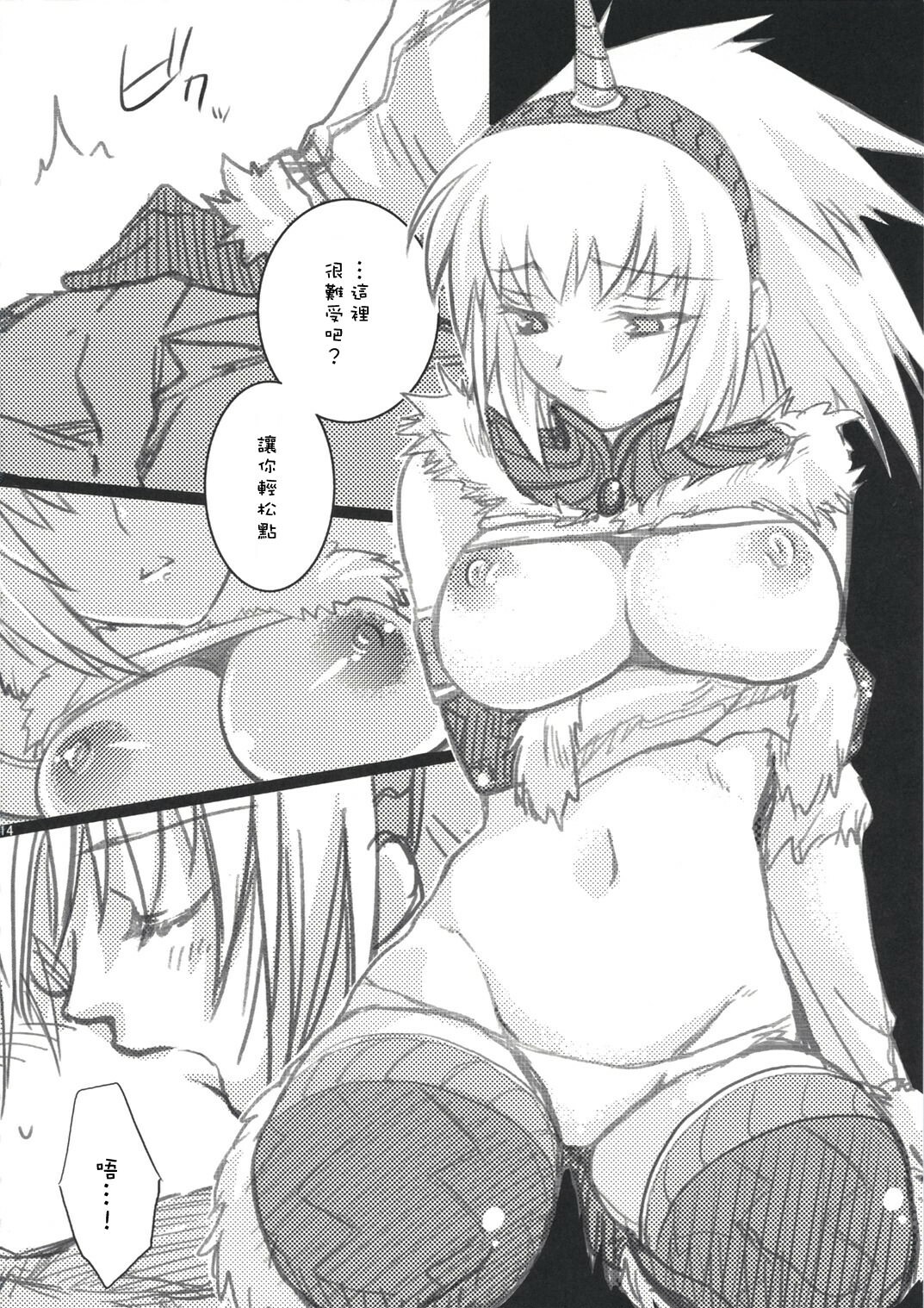 (C73) [Princess Heart (Amagai Yukino)] Kariudo Hakusho (Monster Hunter) [Chinese] page 13 full