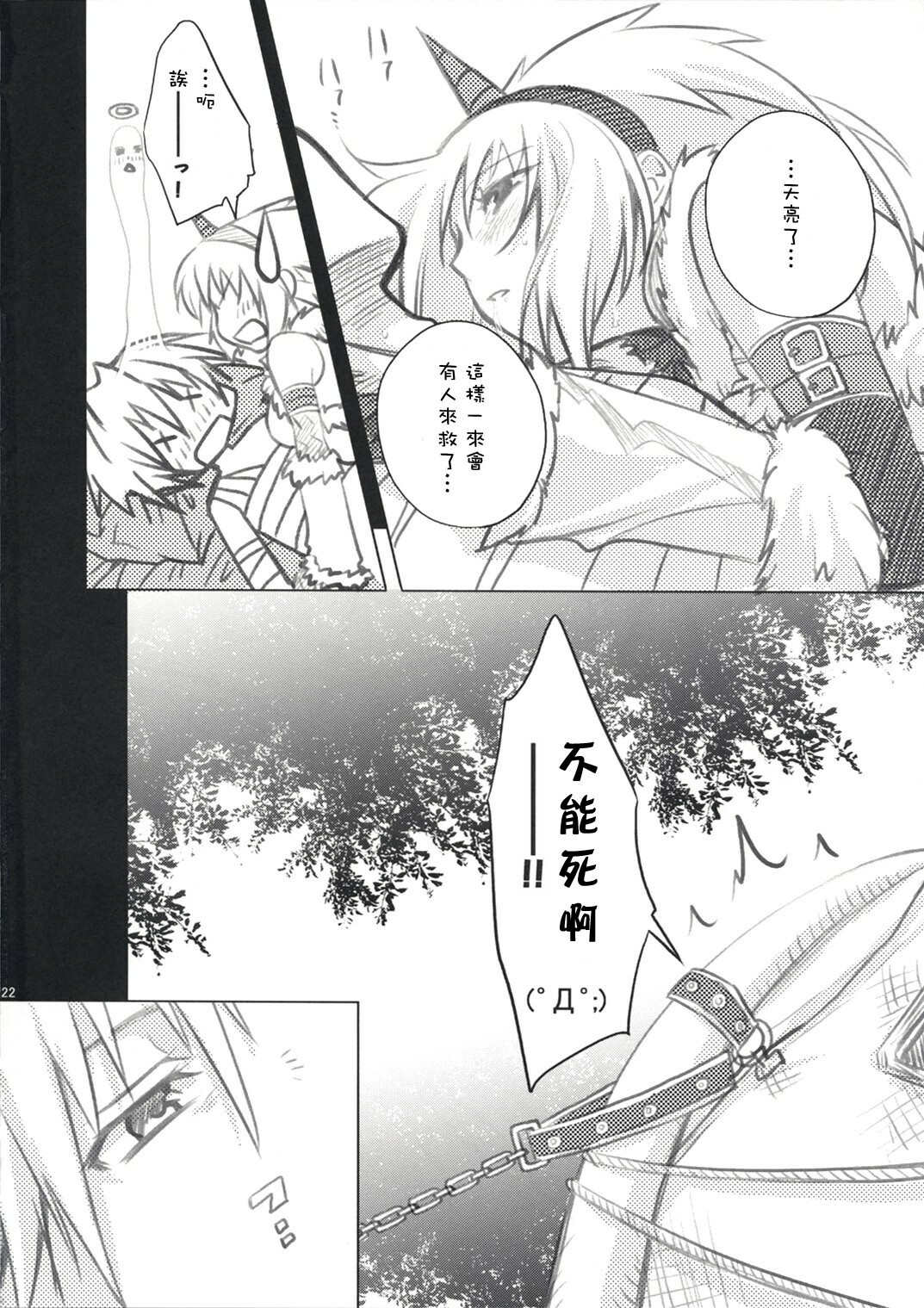 (C73) [Princess Heart (Amagai Yukino)] Kariudo Hakusho (Monster Hunter) [Chinese] page 21 full