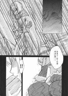 (C73) [Princess Heart (Amagai Yukino)] Kariudo Hakusho (Monster Hunter) [Chinese] - page 11
