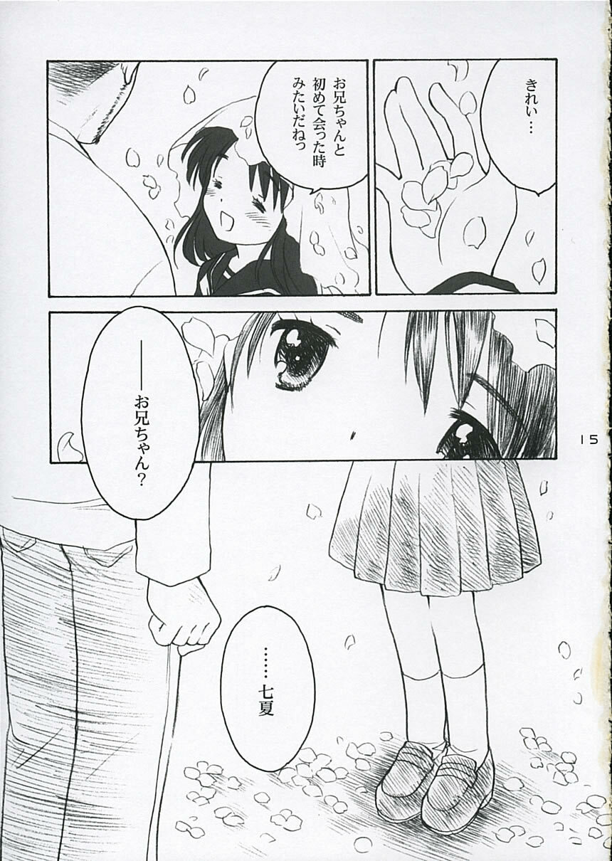 (C68) [Purin Yokochou (Ouka Sushi)] Koi ni Fuku Kaze 3 ~Futari~ (Koi Kaze) page 14 full