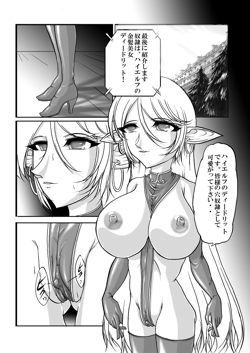 [SLW (Q1)] Aidorei Elf Senki 2 (Record of Lodoss War) [Digital] page 26 full