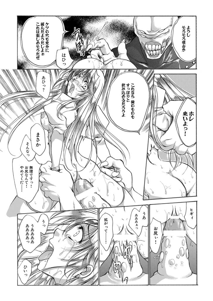 聖王妃 エルレイン（田宮秋人） Princess St page 14 full