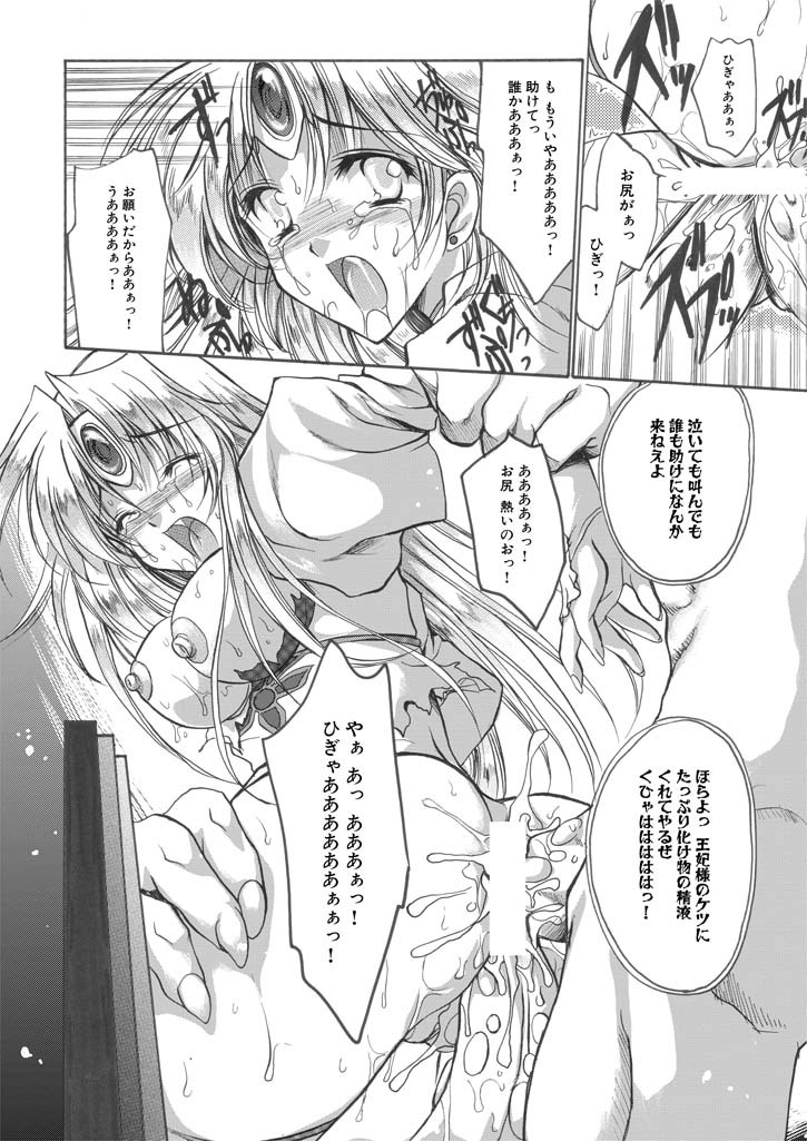 聖王妃 エルレイン（田宮秋人） Princess St page 17 full