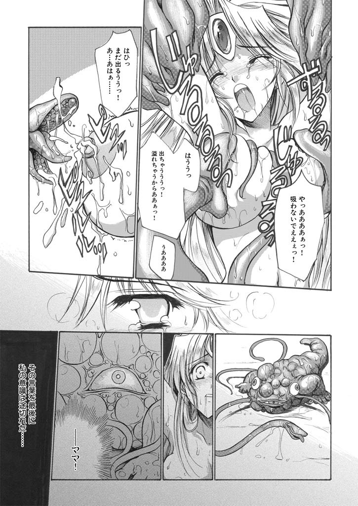 聖王妃 エルレイン（田宮秋人） Princess St page 20 full