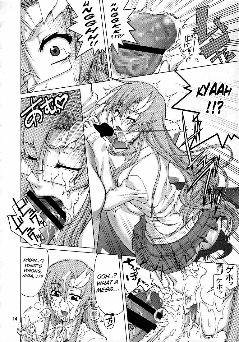 (C74) [GOLD RUSH (Suzuki Address)] A Diva of Healing V (Gundam SEED Destiny) [English] {doujin-moe.us} page 14 full