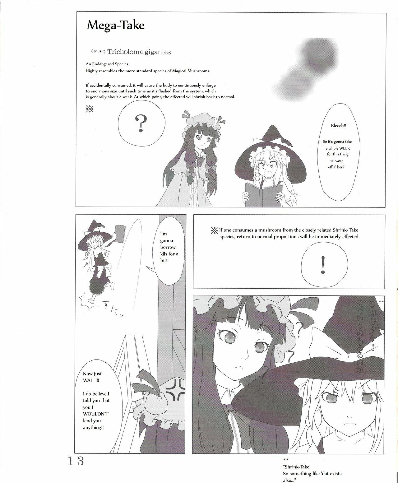 Touhou Super Dreadnaught (Magical) Girl English page 13 full