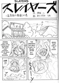 (C52) [Oideyasu Honpo] Minimum (Slayers) [English] - page 30