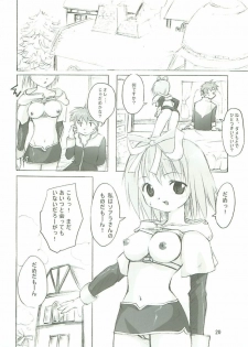 (SC23) [PARANOIA CAT (Fujiwara Shunichi)] Himitsu no Guild ni Goyoujin 1+2+α (Ragnarok Online) - page 19