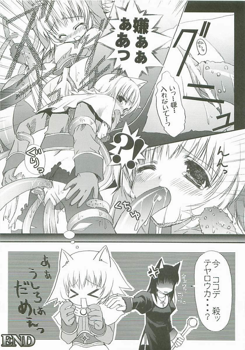 (C67) [Blue Spiral (Minato Hiromu)] Misapprehension (Ragnarok Online) page 10 full