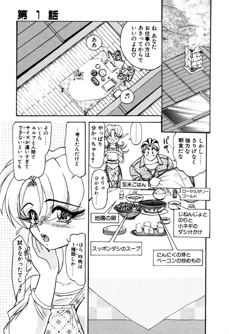 [Kazuma G-VERSION] Elf no Wakaokusama DELUXE page 28 full