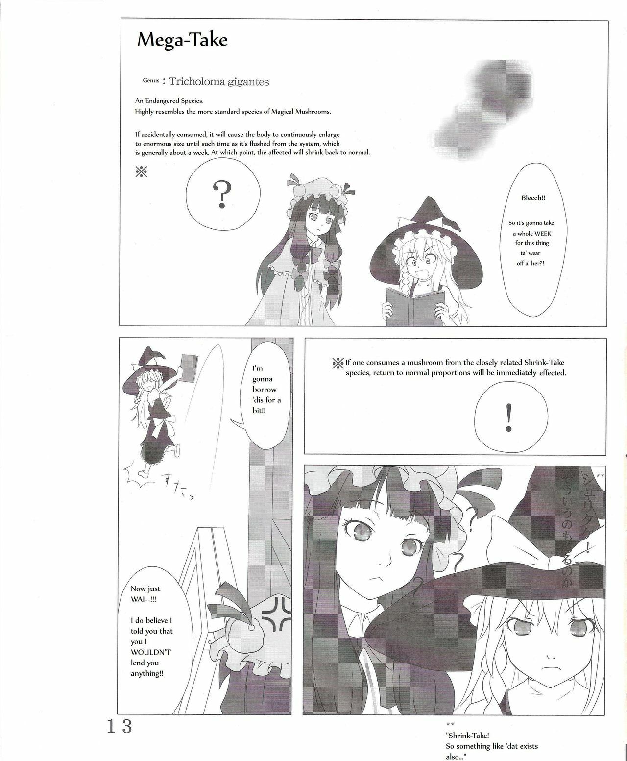 [106m] Chou Dokyu Mahou Sho-jo [Touhou][ENG] page 14 full