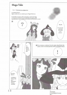 [106m] Chou Dokyu Mahou Sho-jo [Touhou][ENG] - page 14