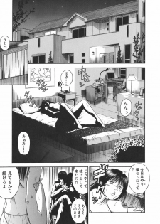 [Hiraoka Ryuichi] MORAL HAZARD ~Haitoku no Kyoudan~ - page 39