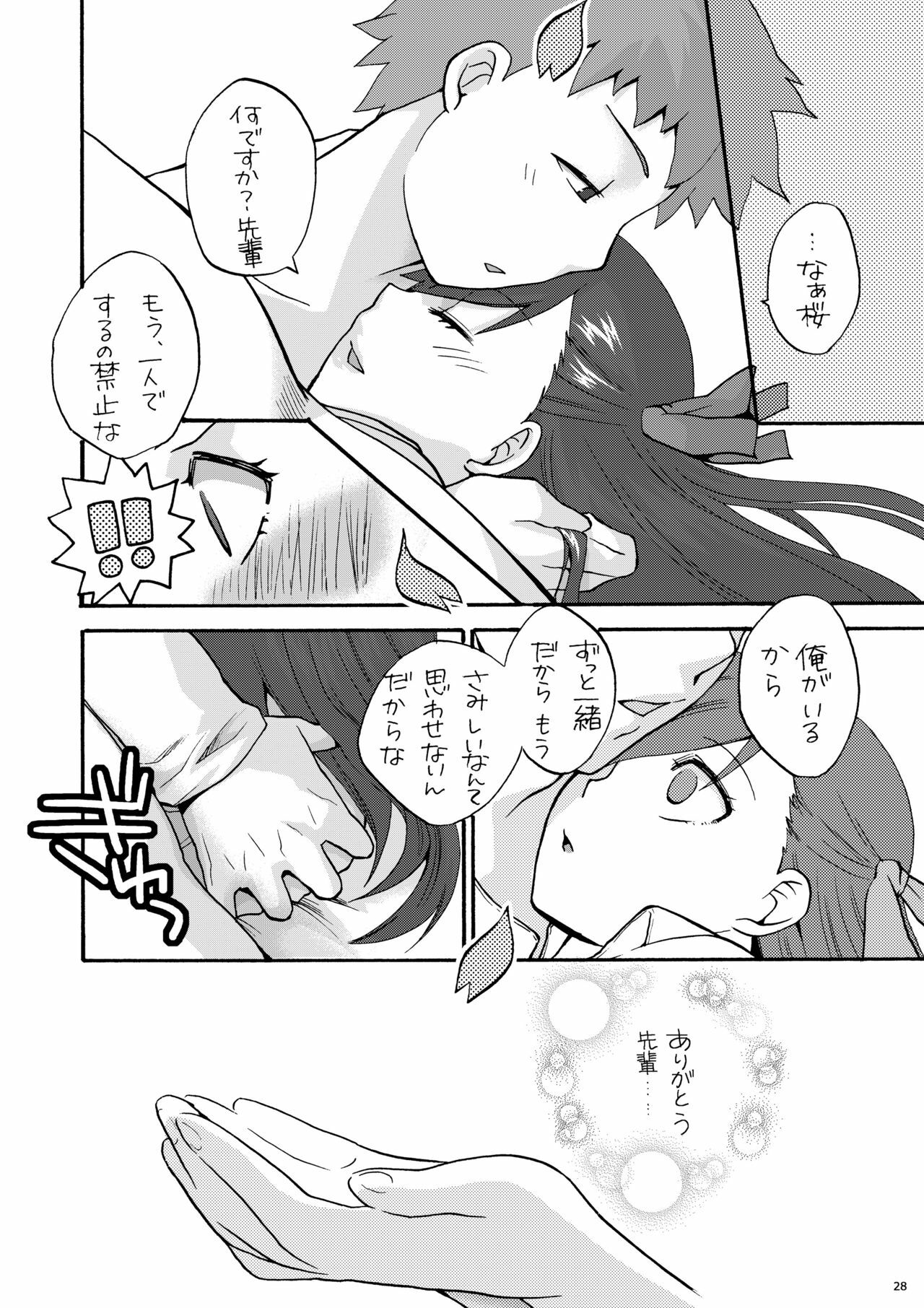(C77) [TRIP SPIDER (niwacho)] Hitohira (Fate/stay night) page 27 full