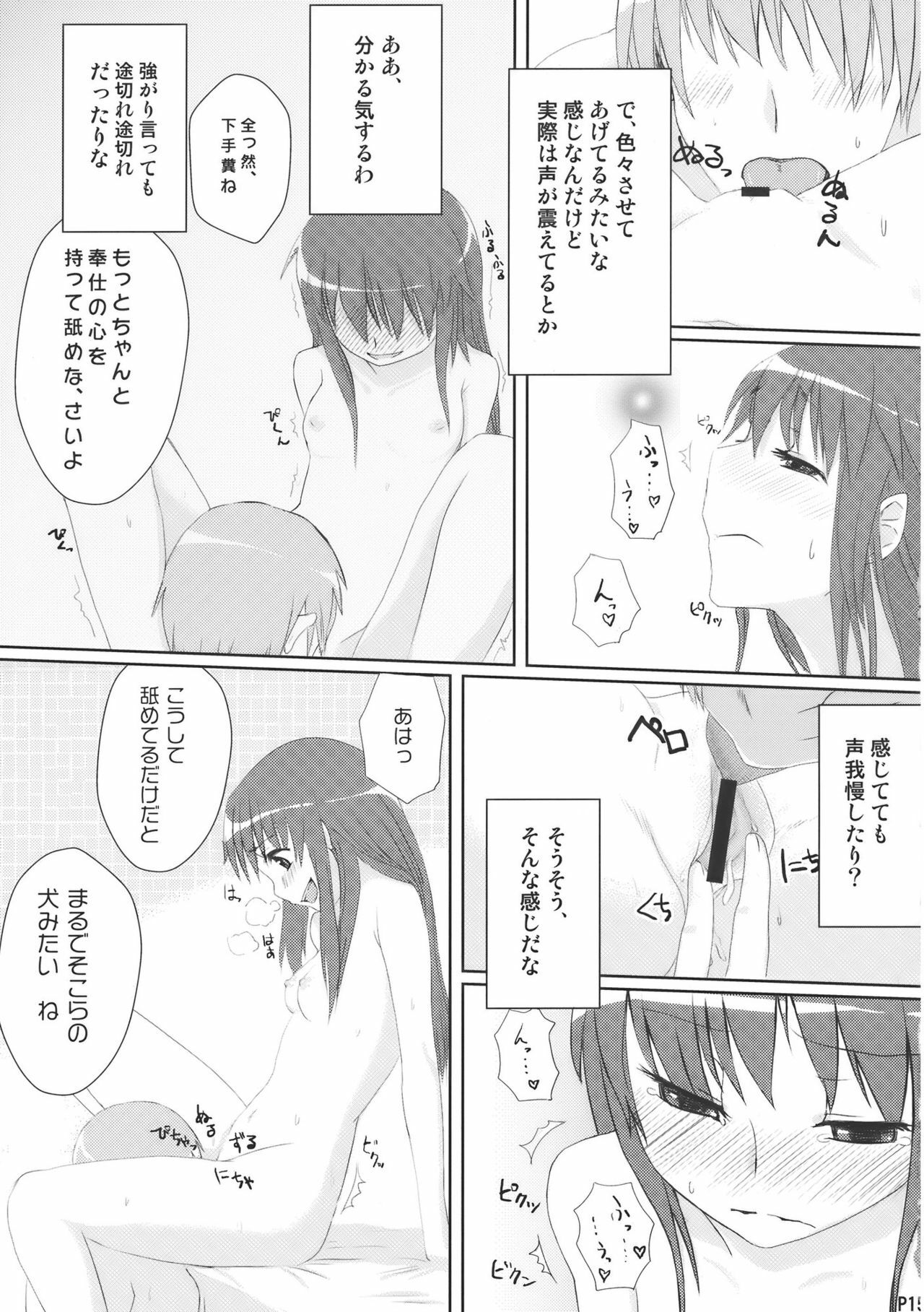 (C76) [Ryokucha Combo (Chameleon)] Chihou Niyotte Shindo wa Kotonarimasu (Touhou Project) page 17 full