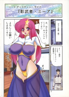(CSP4) [Kantou Usagi Gumi (Kamitou Masaki)] Pink Kami Keikaku (Girls Bravo, Gundam Seed Destiny) - page 2