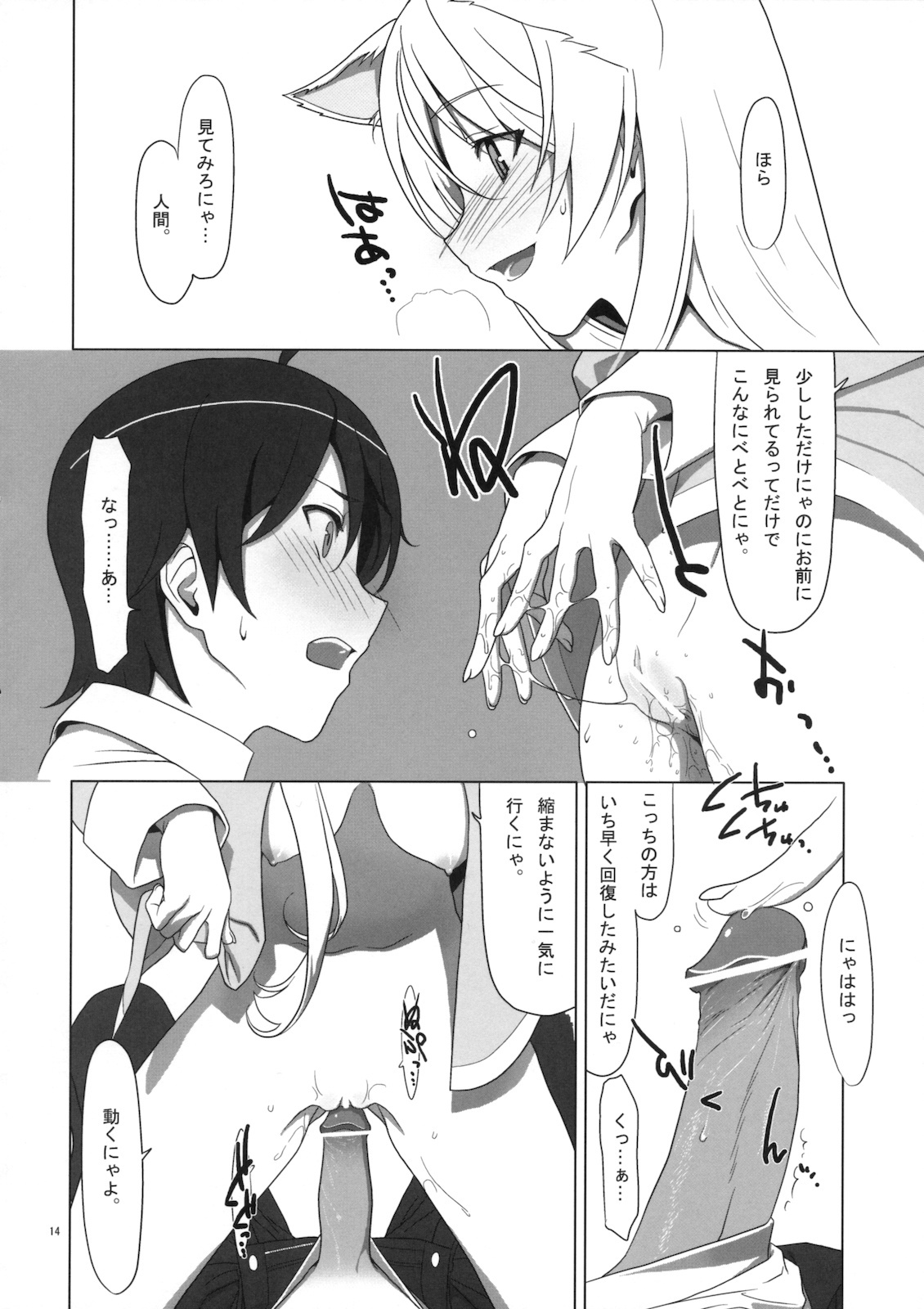 (C77) [TIES (Takei Ooki)] PLUNDER (Bakemonogatari) page 13 full