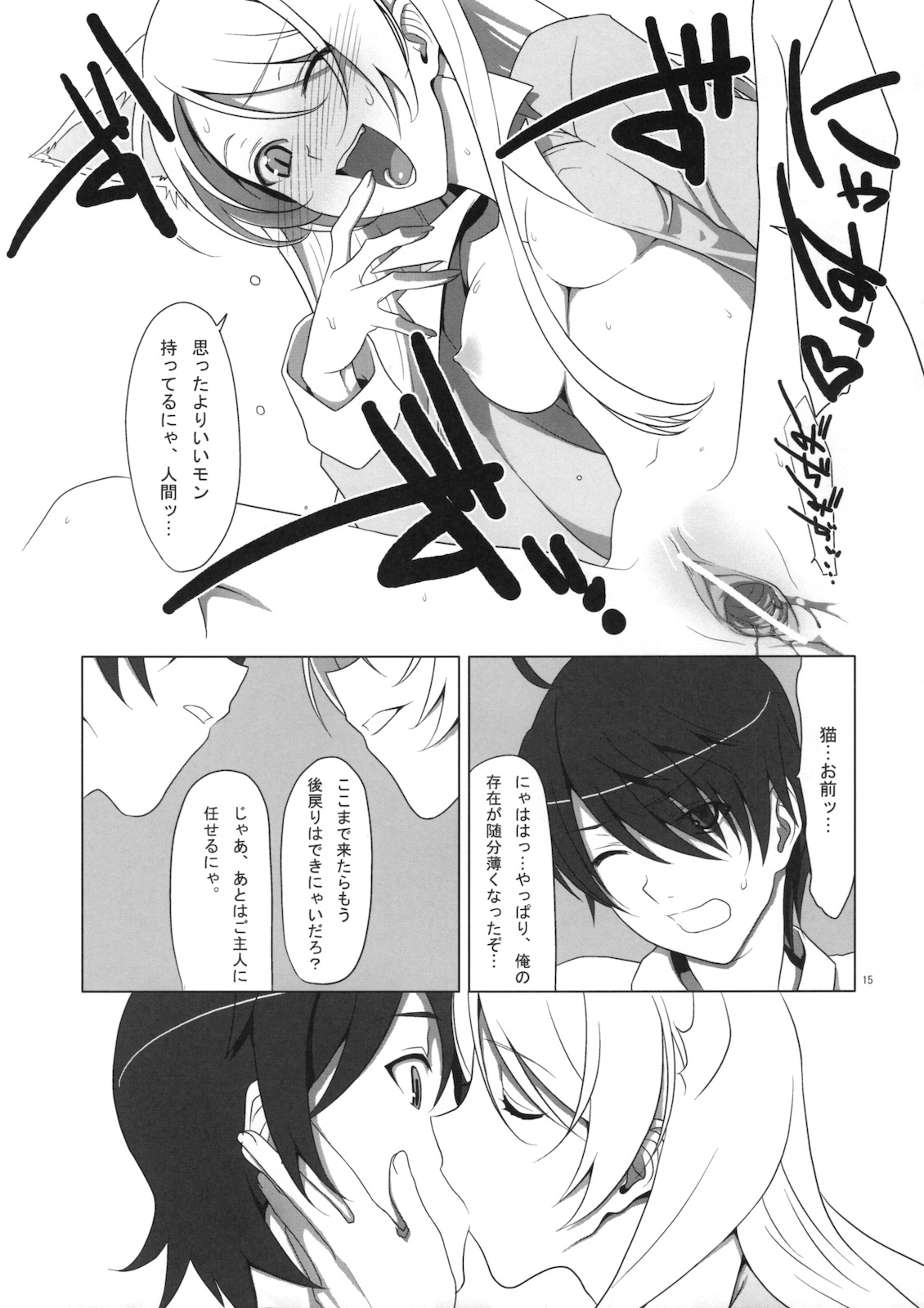 (C77) [TIES (Takei Ooki)] PLUNDER (Bakemonogatari) page 14 full