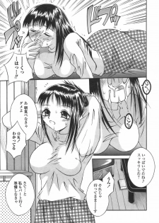 [Mizui] Bikaninshuu | Beautiful sweat Indecent smell - page 24