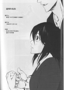(SUPER14) [HONEY CANON (Takamiya Haruya)] Togirenu Ito (Bleach) - page 30