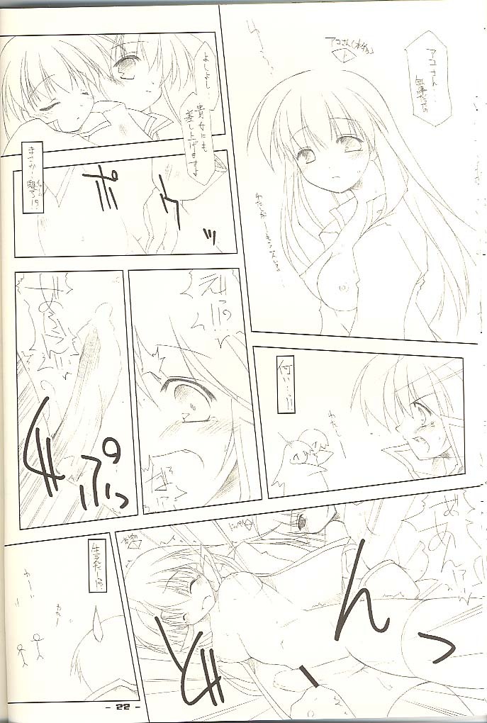 (C62) [ANGYADOW (Shikei)] .heal (Ragnarok Online) page 21 full