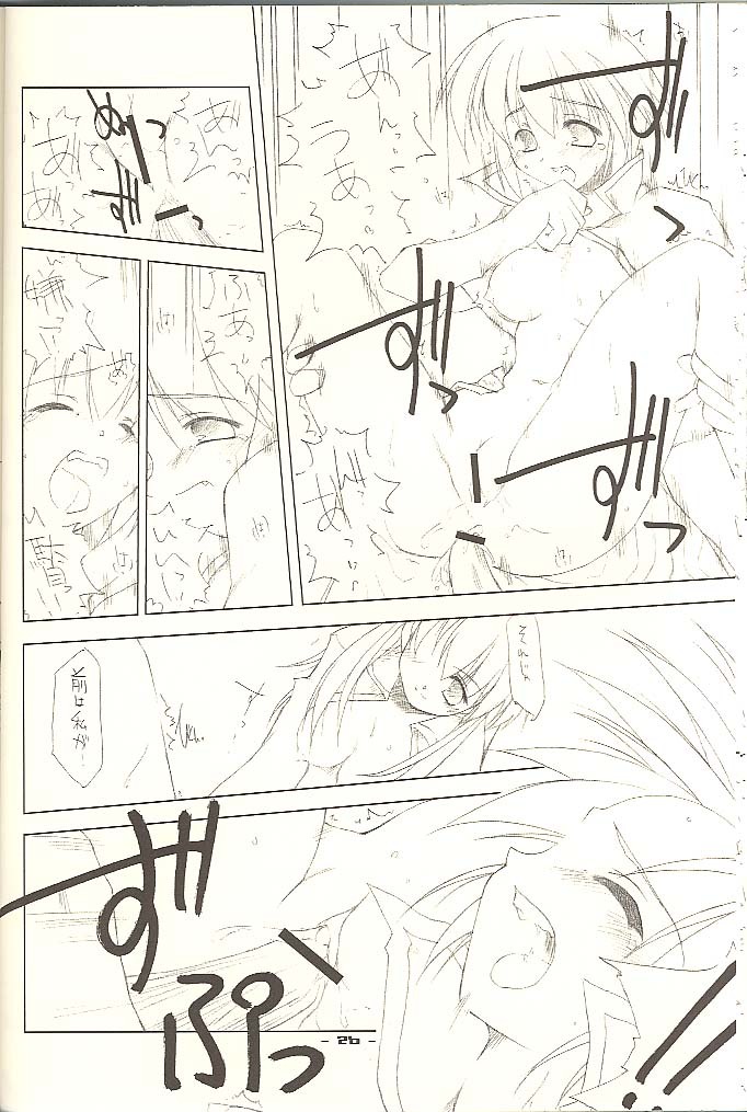 (C62) [ANGYADOW (Shikei)] .heal (Ragnarok Online) page 25 full