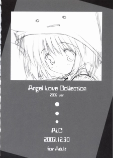 (C65) [A.L.C. (Kannazuki Nem)] Angel Love Collection 2003 ver. (Ragnarok Online) - page 17