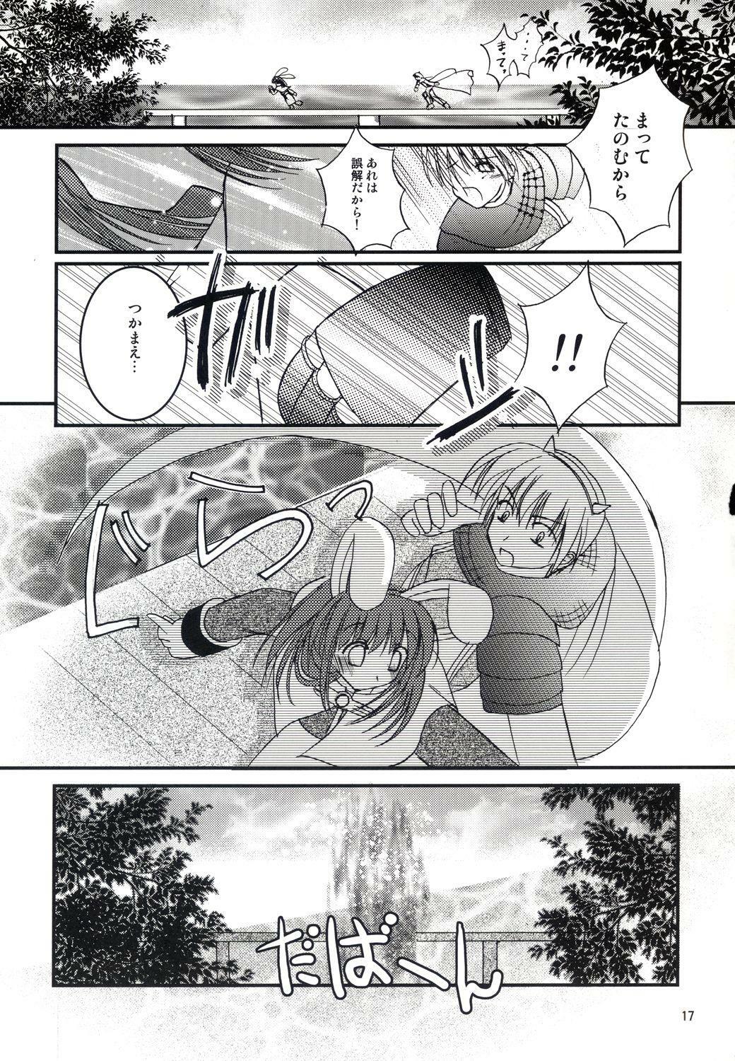 (C64) [LightRight (Natsukawa Sarasa)] Ako-tan Kishi-tan no Jijou ~Kabe Suru Gawa to Kabe Sareru Gawa no Kankei~ (Ragnarok Online) page 17 full