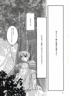 (C64) [LightRight (Natsukawa Sarasa)] Ako-tan Kishi-tan no Jijou ~Kabe Suru Gawa to Kabe Sareru Gawa no Kankei~ (Ragnarok Online) - page 11