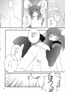 (C64) [LightRight (Natsukawa Sarasa)] Ako-tan Kishi-tan no Jijou ~Kabe Suru Gawa to Kabe Sareru Gawa no Kankei~ (Ragnarok Online) - page 26