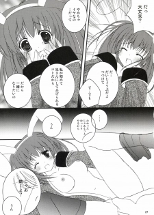 (C64) [LightRight (Natsukawa Sarasa)] Ako-tan Kishi-tan no Jijou ~Kabe Suru Gawa to Kabe Sareru Gawa no Kankei~ (Ragnarok Online) - page 27