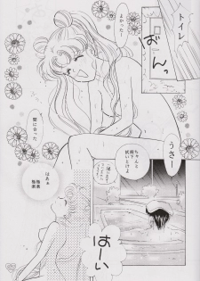 [PALE LILAC (Ohmori Madoka)] EARTH WIND (Sailor Moon) - page 26