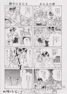 [PALE LILAC (Ohmori Madoka)] EARTH WIND (Sailor Moon) - page 29