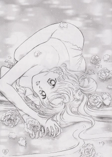 [PALE LILAC (Ohmori Madoka)] EARTH WIND (Sailor Moon) - page 2