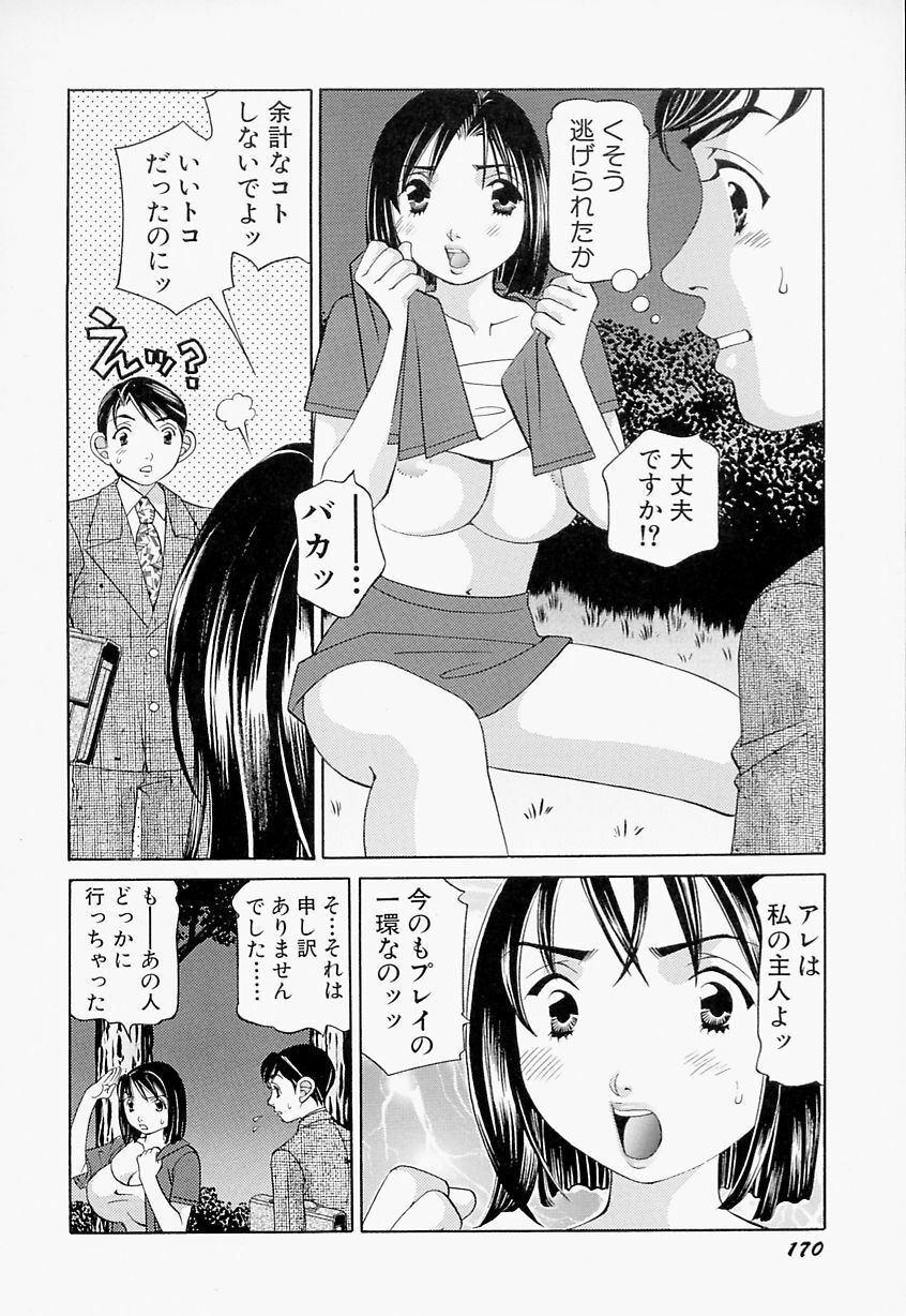 [Sasayama Ayako] steady study page 171 full