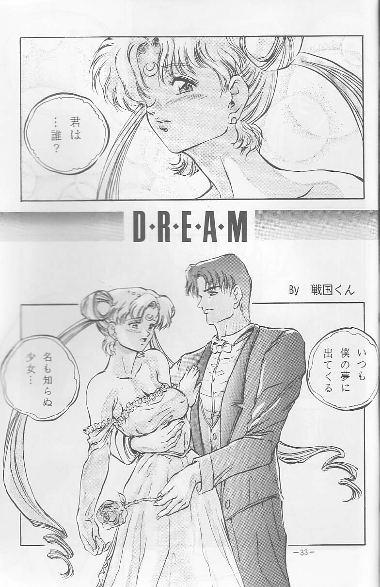 (C44) [METAL (Sengoku-kun)] Sengoku (Record of Lodoss War, Sailor Moon) page 32 full