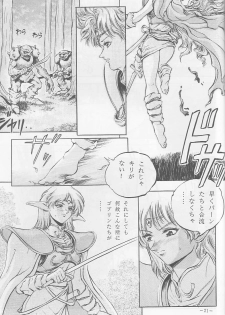 (C44) [METAL (Sengoku-kun)] Sengoku (Record of Lodoss War, Sailor Moon) - page 20