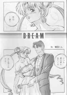 (C44) [METAL (Sengoku-kun)] Sengoku (Record of Lodoss War, Sailor Moon) - page 32