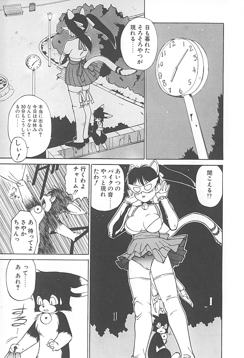 [TRUMP] Charm the Cat 2 Sayaka Ganbaru!! page 155 full