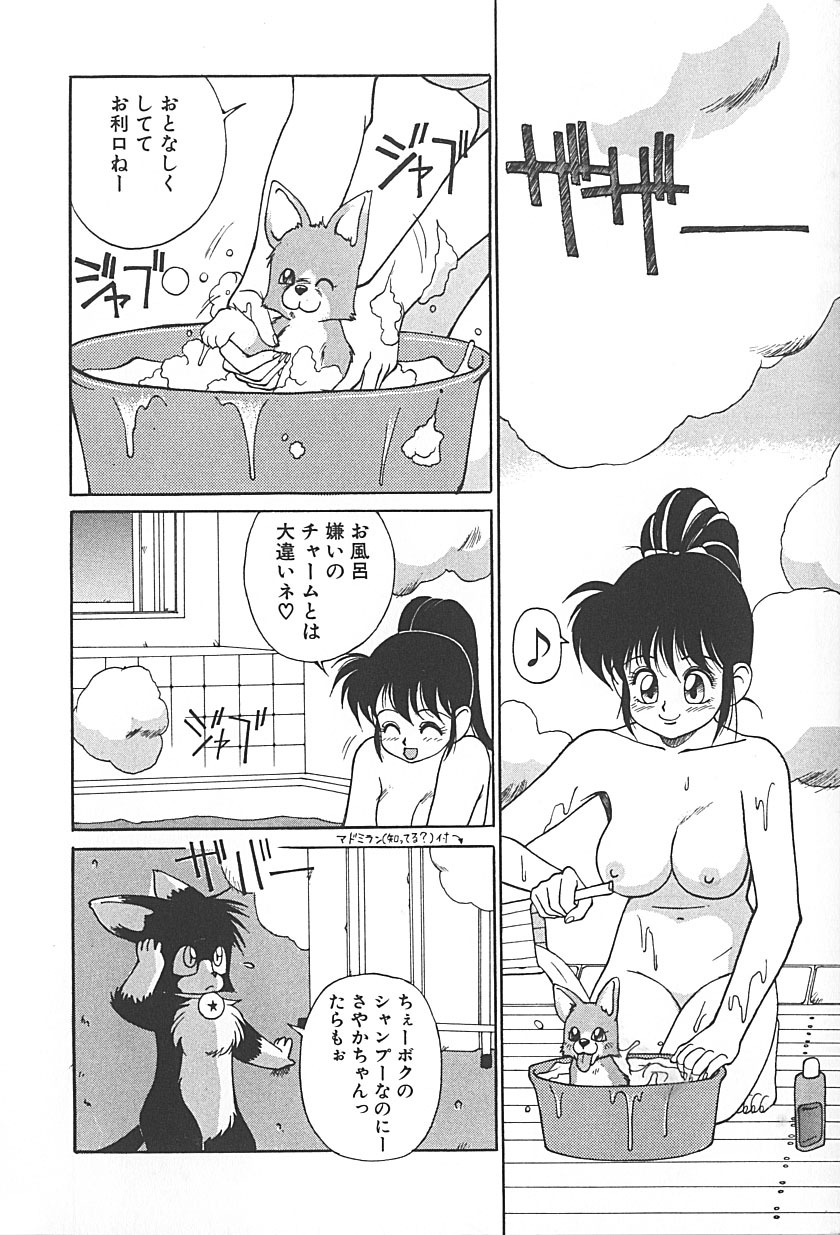 [TRUMP] Charm the Cat 2 Sayaka Ganbaru!! page 88 full