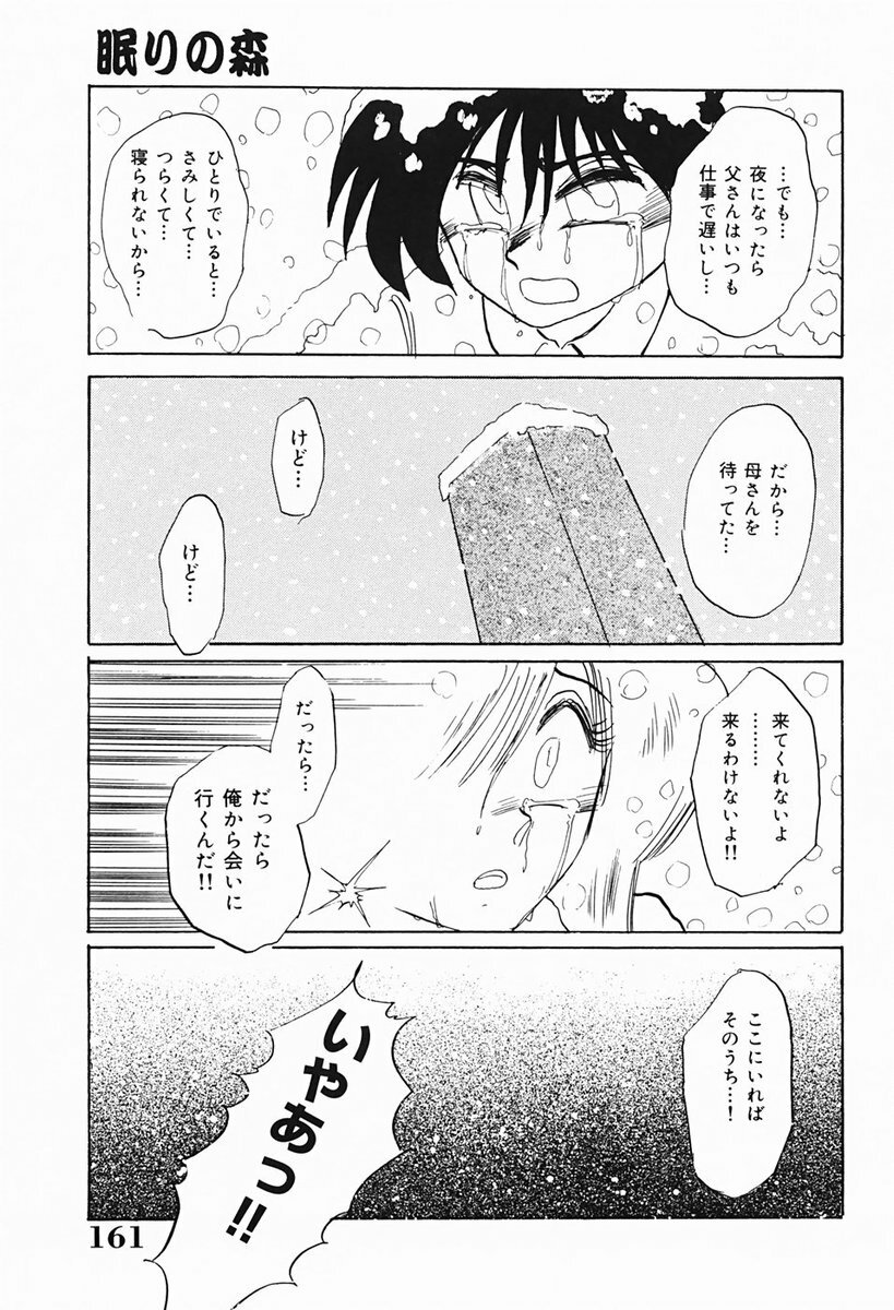 [TsuyaTsuya] Hisae-san no Haitoku Nikki - Mrs HISAE's immoral diary page 162 full