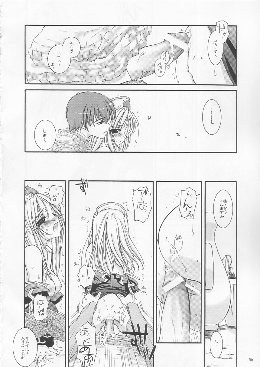 (C64) [Digital Lover (Nakajima Yuka)] D.L. action 18 (Ragnarok Online) page 35 full