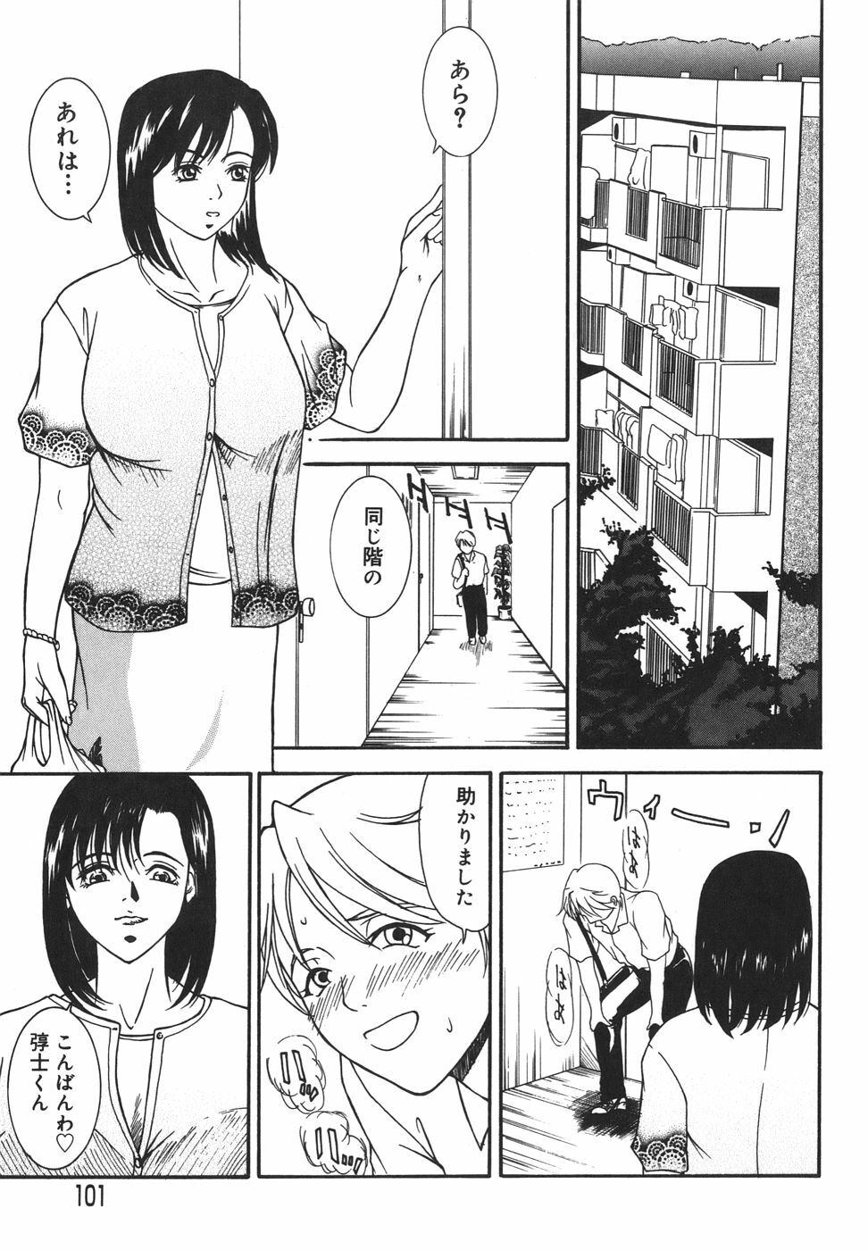 [Yokoyama Michiru] Aioi no Shukujo page 101 full