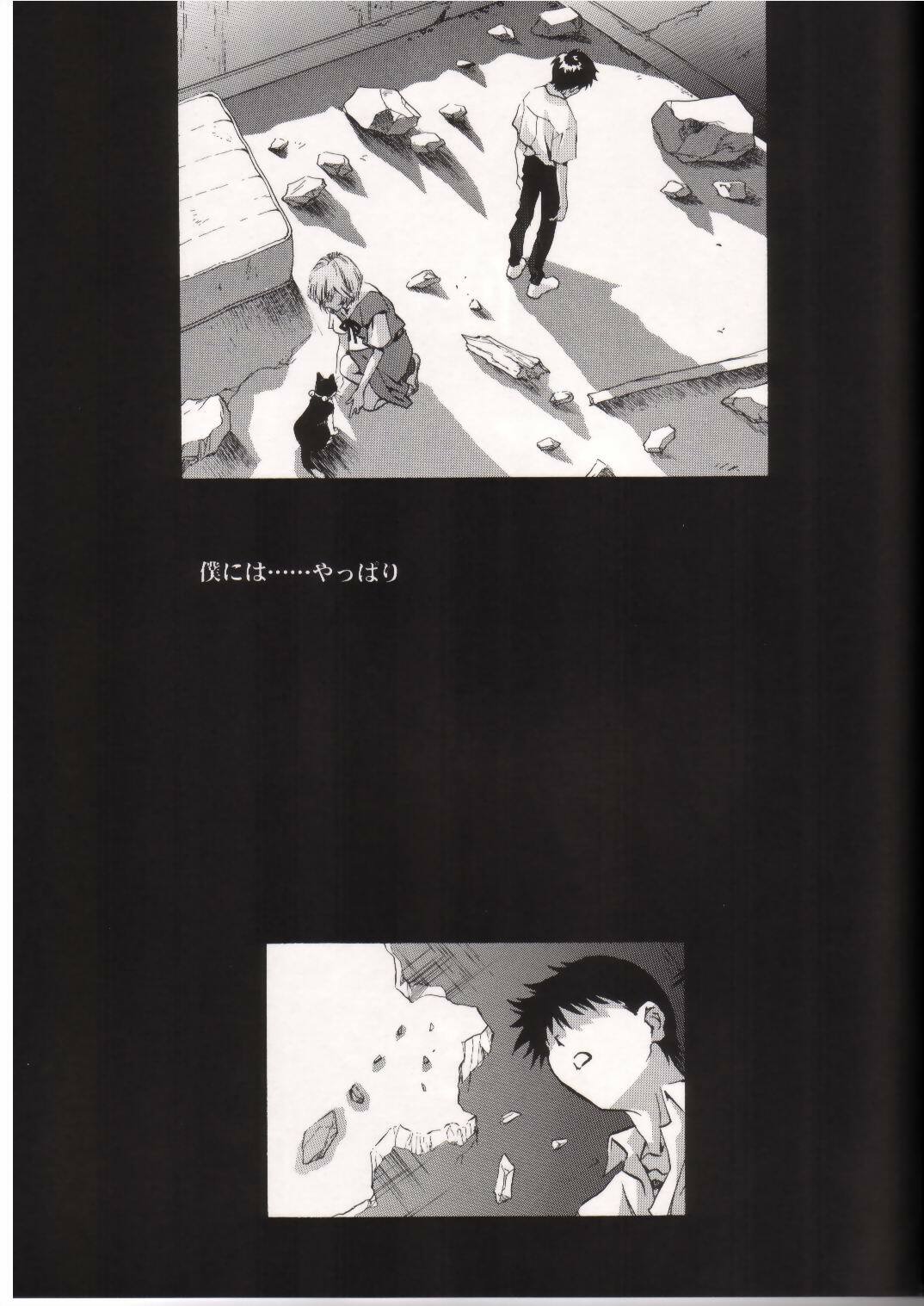 [Henreikai (Kawarajima Koh)] AYANAMI SUMMIT (Neon Genesis Evangelion) page 30 full