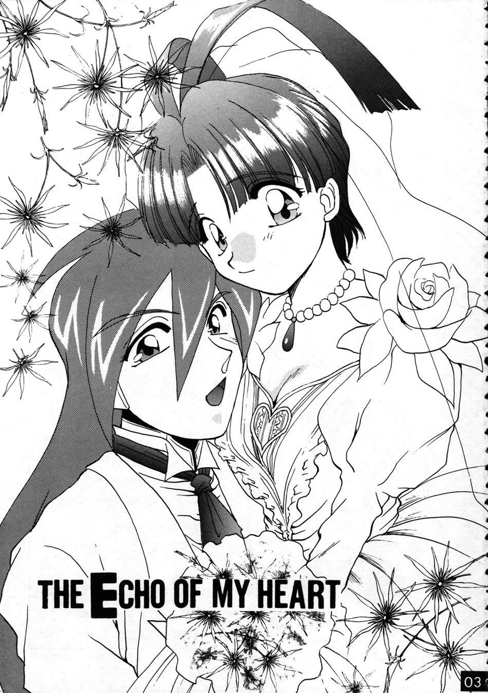 (C52) [Red Dragon, M-10 (Hayase Hashiba, Kurokawa Mio)] The Echo of My Heart (Yuusha Ou Gaogaigar) page 3 full